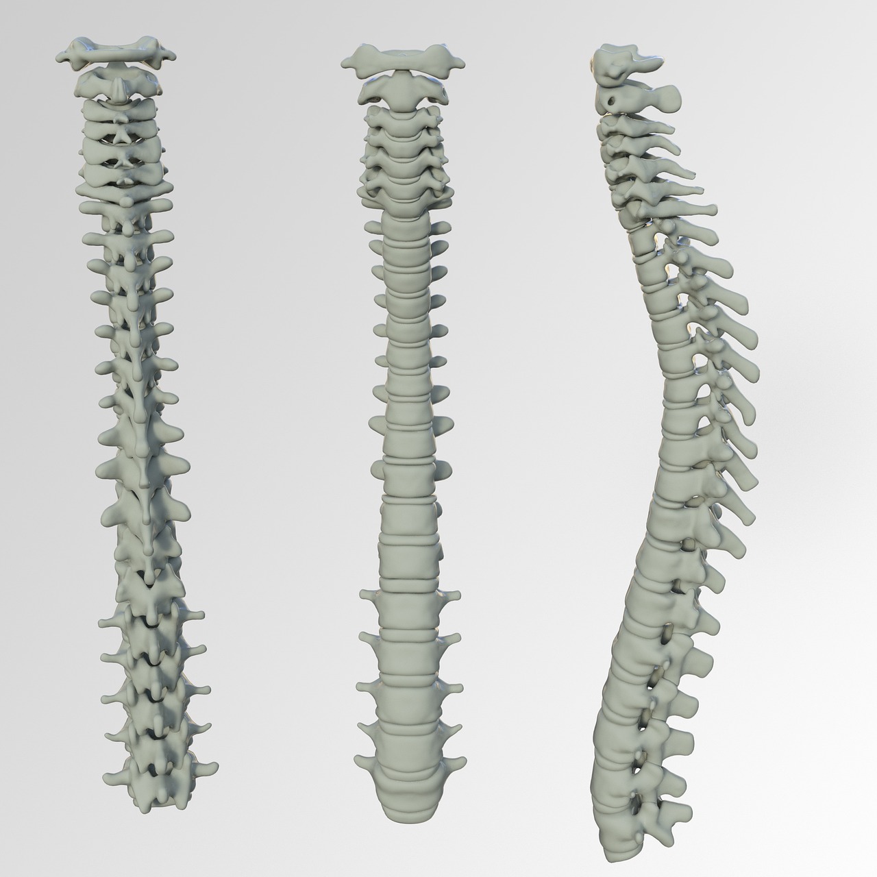 Đột phá y sinh học: Ứng dụng công nghệ in 3D vào tin công nghệ AI mới nhất trong chế tạo xương